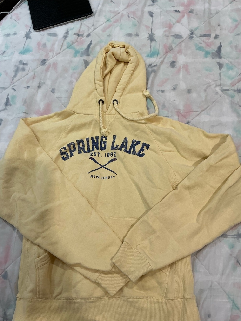 Spring Lake Graphic Hoodie in Pale Yellow